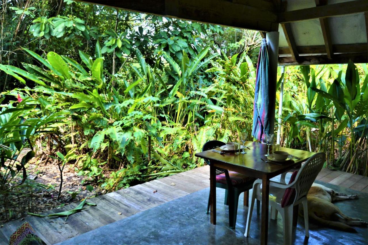 Hummingbird Rest A Fully Equipped Cabana In Subtropic Garden Villa San Ignacio Exterior photo