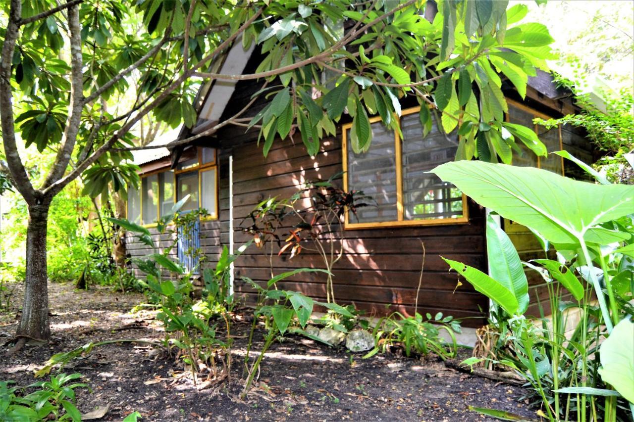 Hummingbird Rest A Fully Equipped Cabana In Subtropic Garden Villa San Ignacio Exterior photo