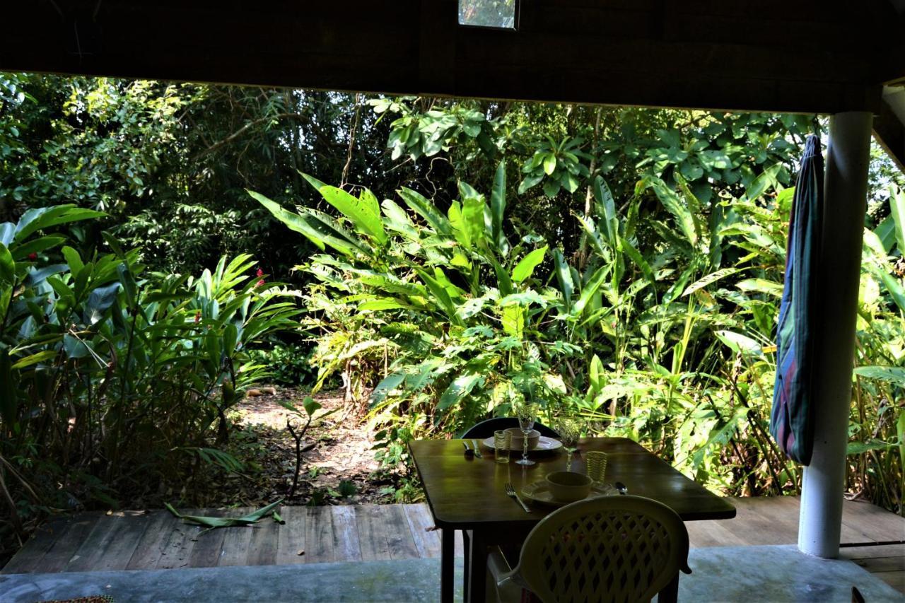 Hummingbird Rest A Fully Equipped Cabana In Subtropic Garden Villa San Ignacio Exterior photo