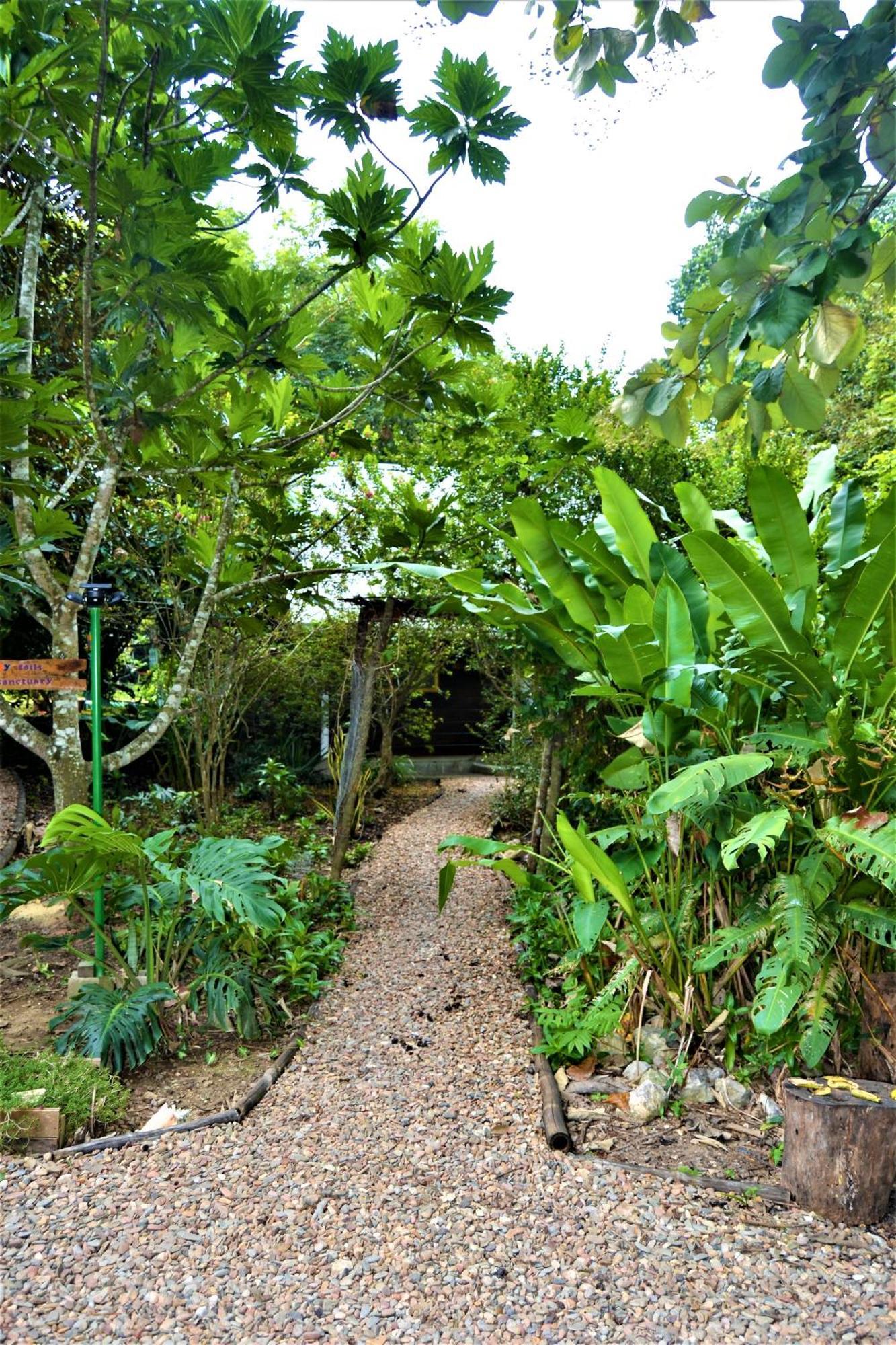 Hummingbird Rest A Fully Equipped Cabana In Subtropic Garden Villa San Ignacio Exterior photo